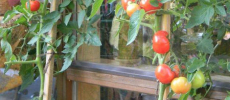 DSCN0850
