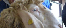 DSC 0844