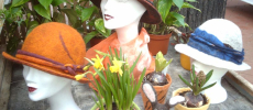 IMAG0586
